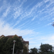 フラワーガーデンで見上げた印象的な空