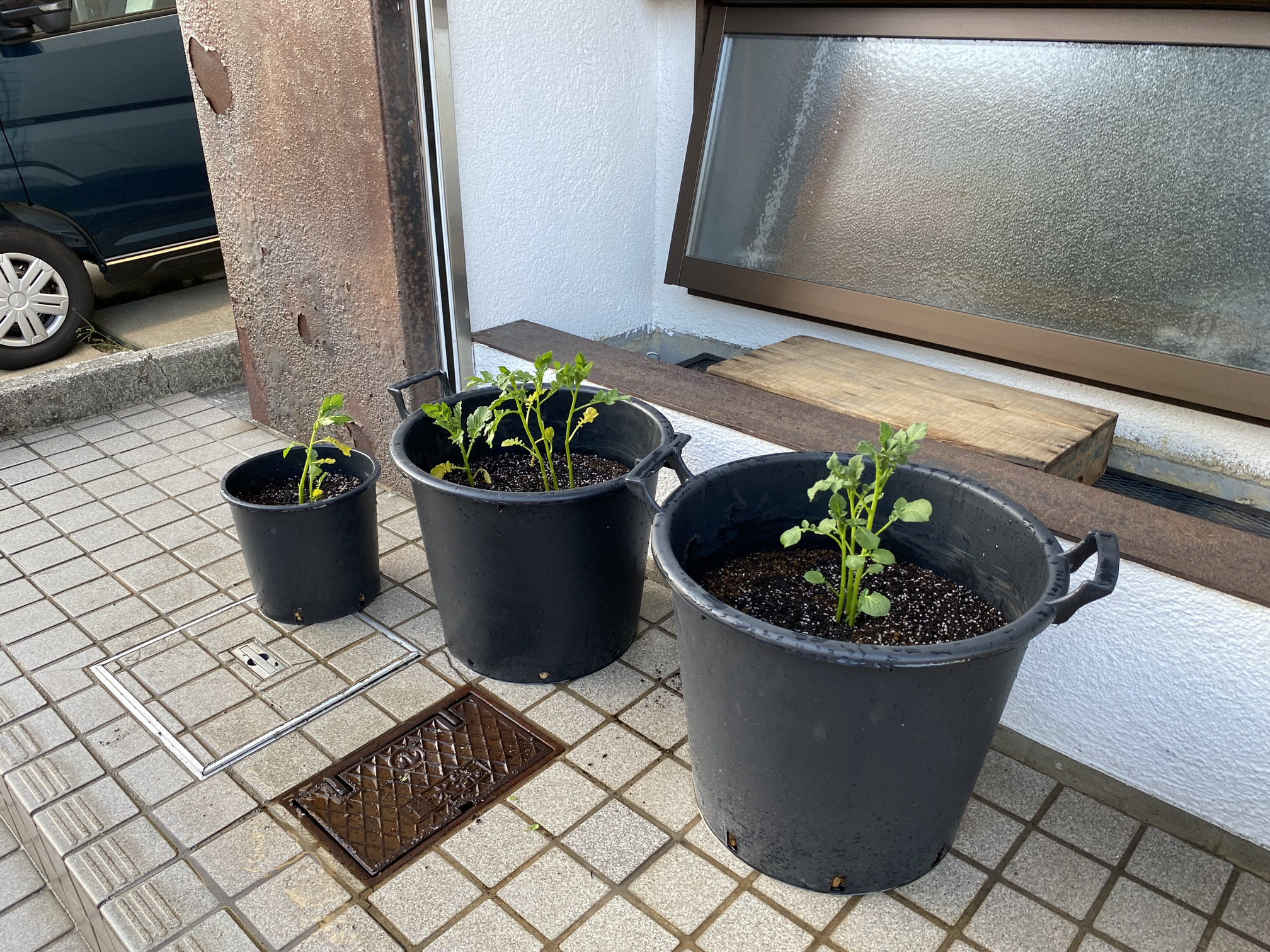土寄せ（土増し）３