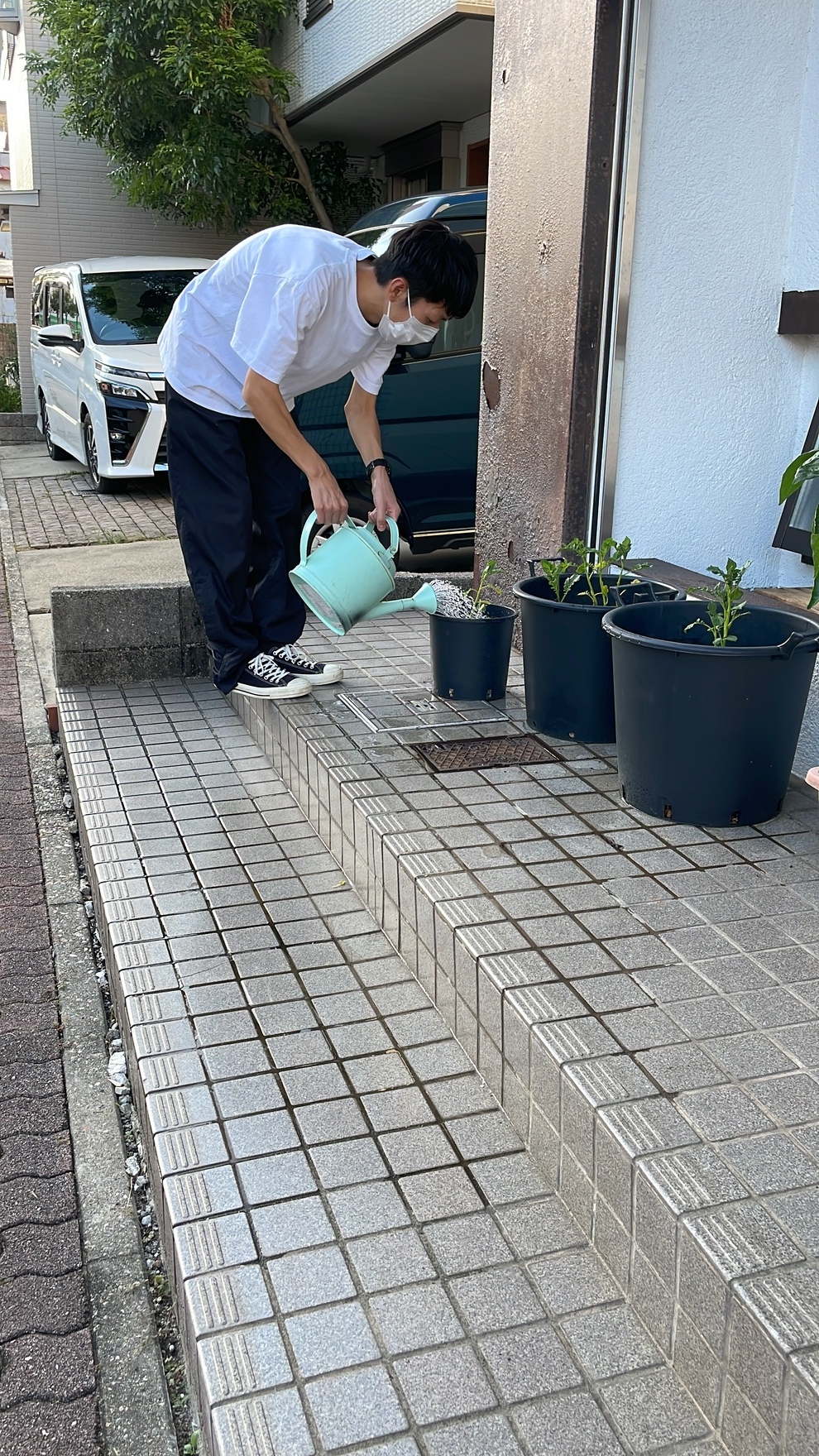 水やり